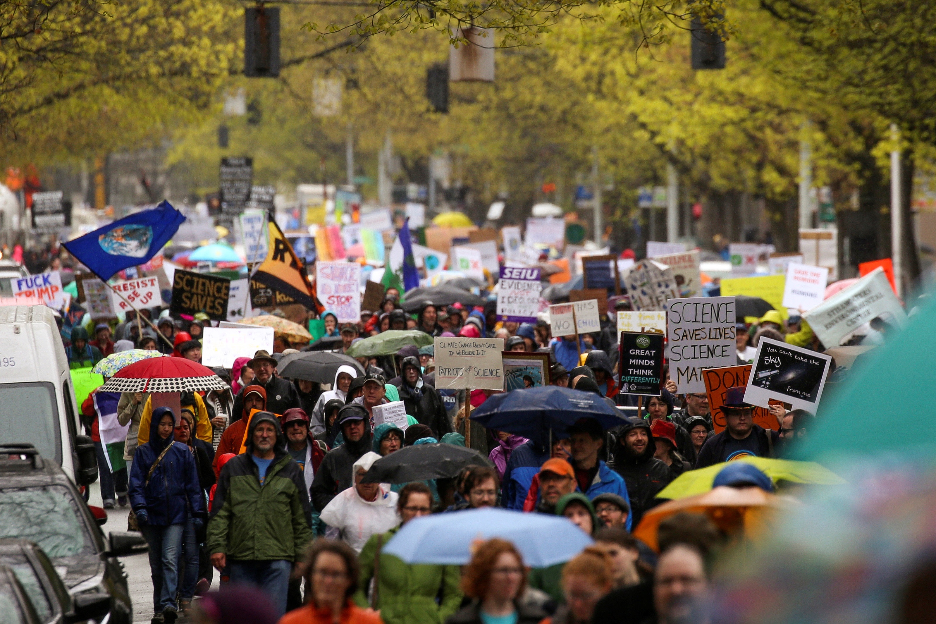 bieu tinh o My anh 8