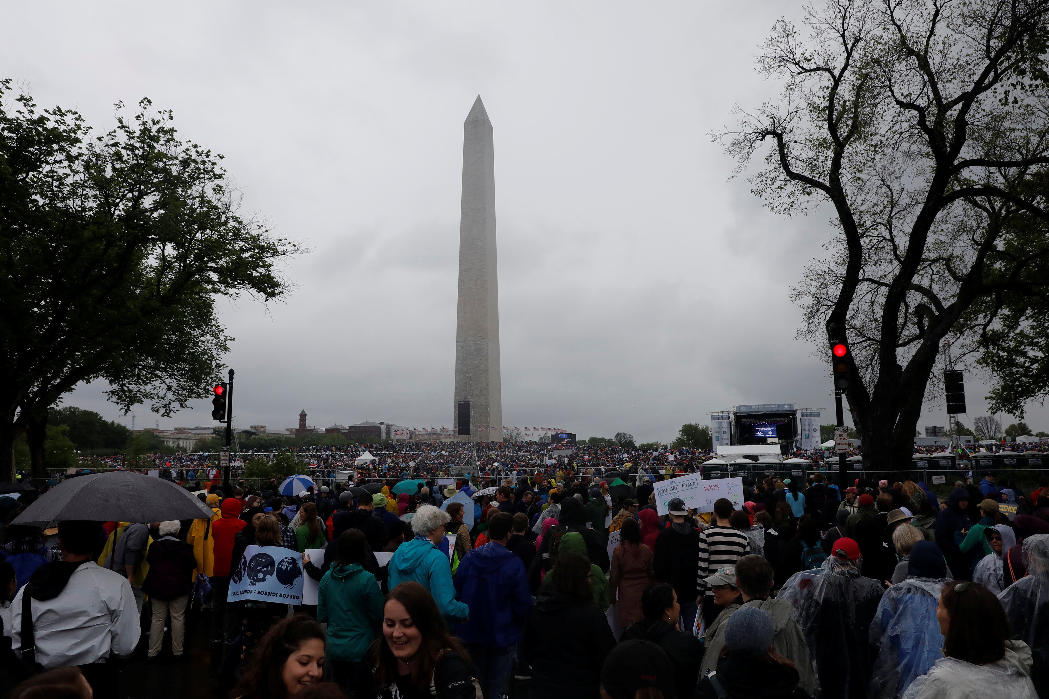 bieu tinh o My anh 1