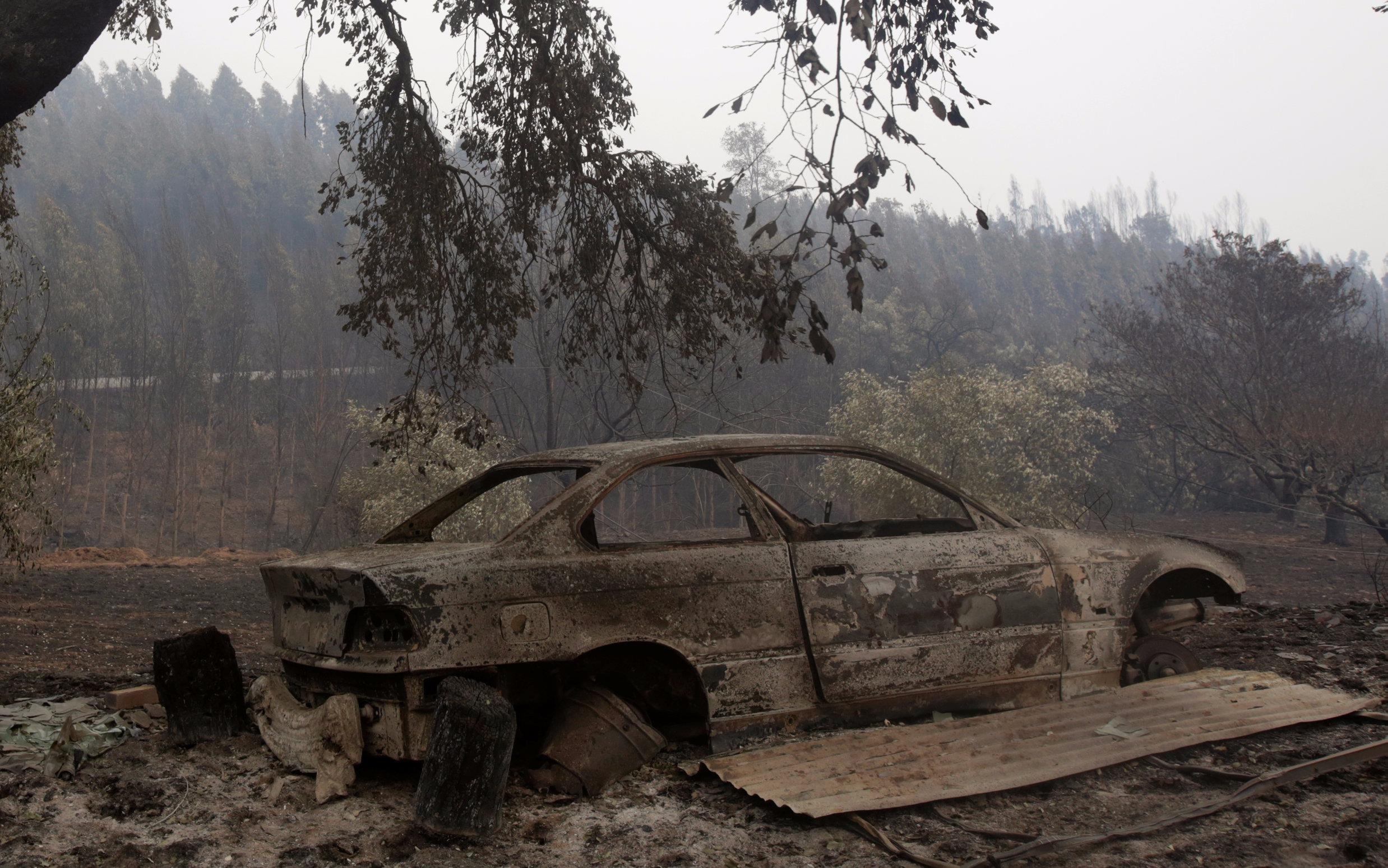 Hau qua chay rung nhu ngay tan the o Bo Dao Nha hinh anh