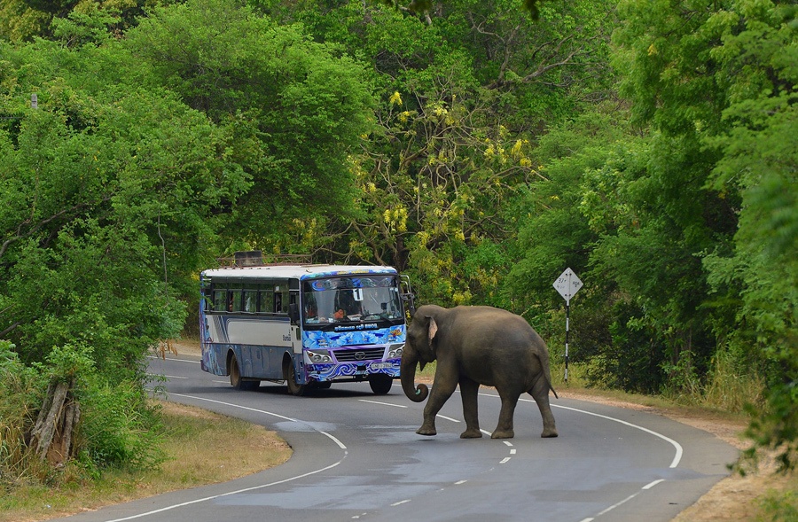 cánh buồm đỏ thắm xuyên màn đêm vào top ảnh tuần ảnh 1 canh buom do tham xuyen man dem vao top anh tuan anh 1