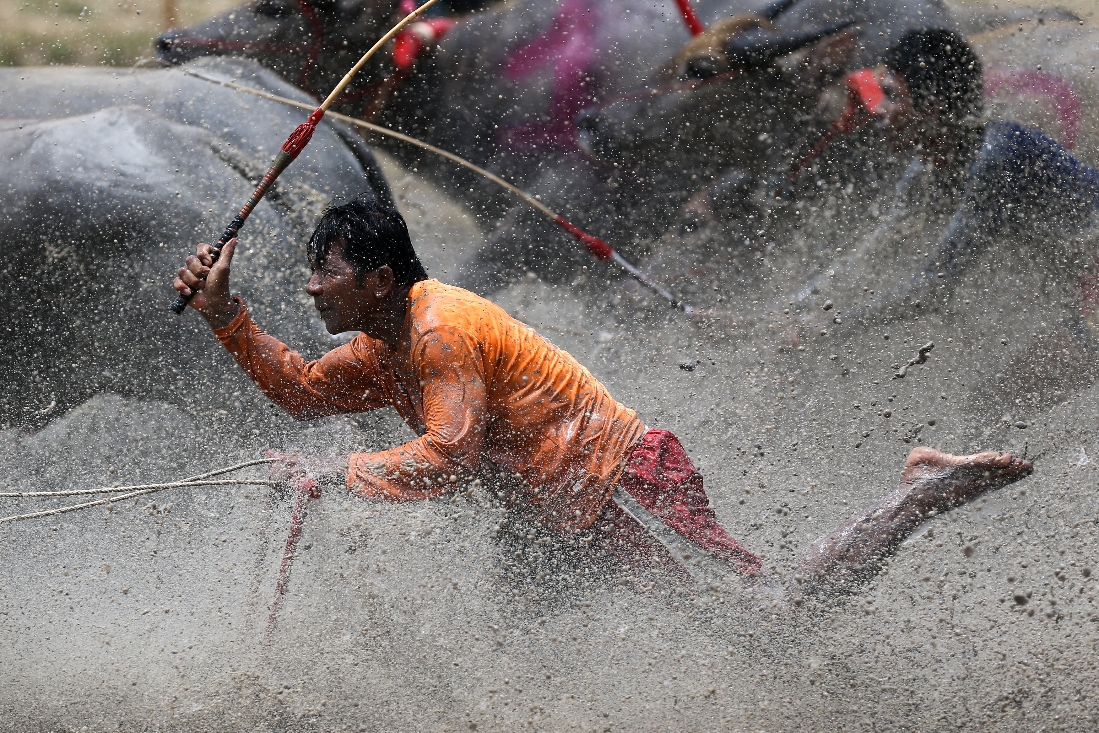 Le hoi dua trau soi dong tai Thai Lan anh 7