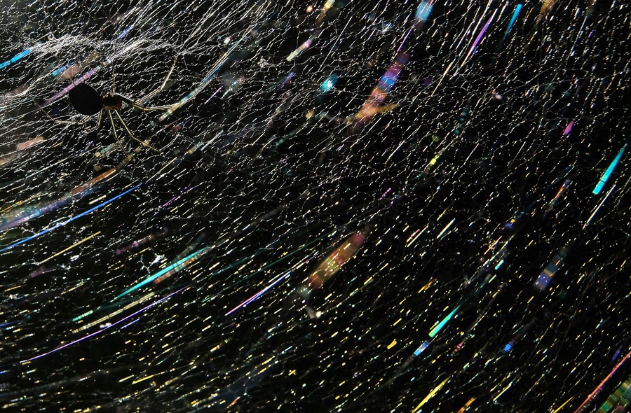 Cuoc hoi ngo cua cac ong gia Noel vao top anh tuan anh 9