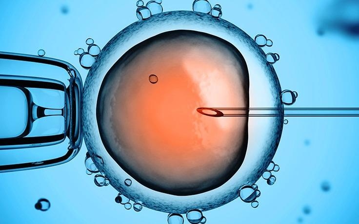 Dot pha lon: Cac nha khoa hoc chinh sua duoc gen trong phoi thai hinh anh