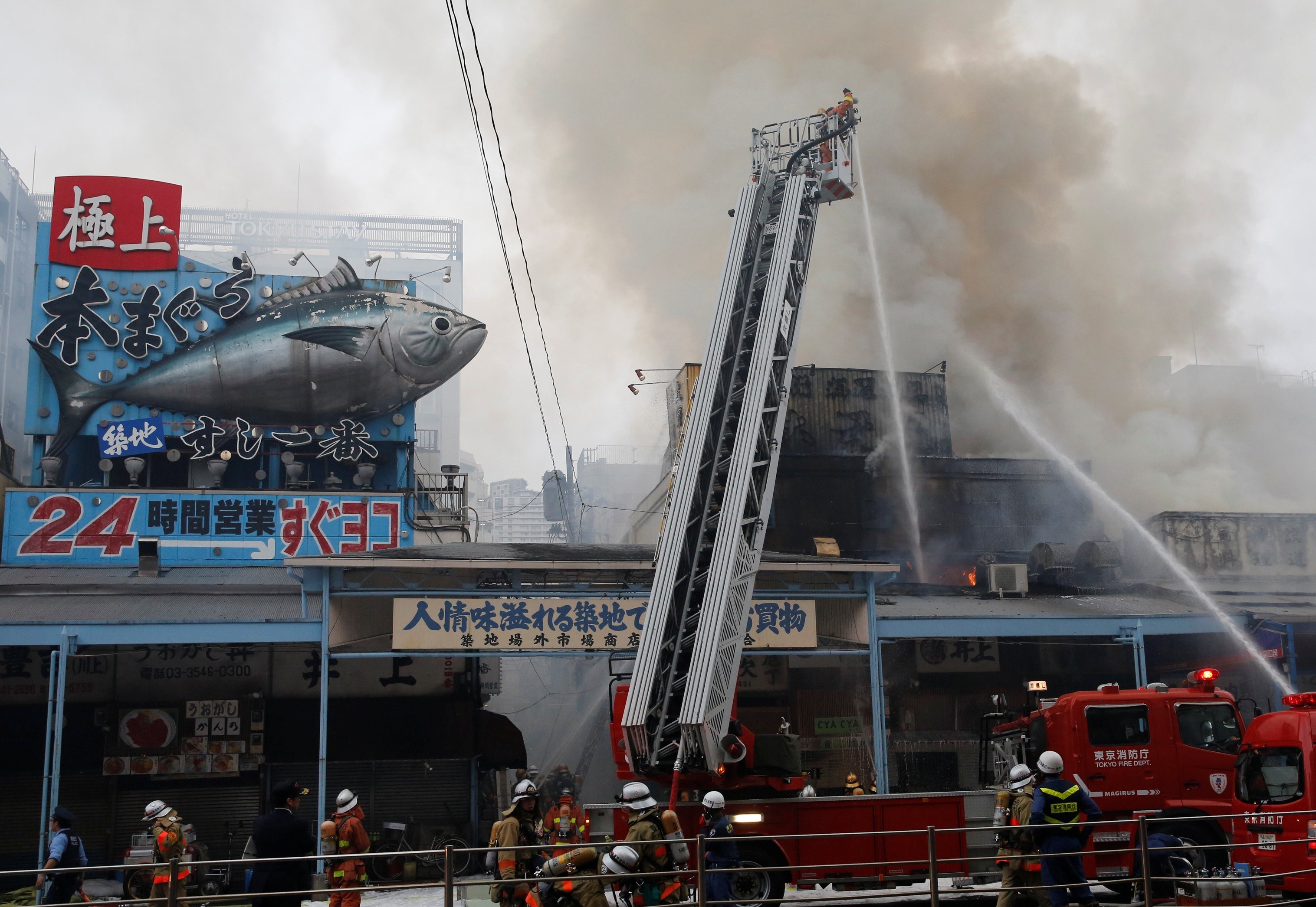 Chay cho ca lon nhat the gioi o Nhat Ban hinh anh