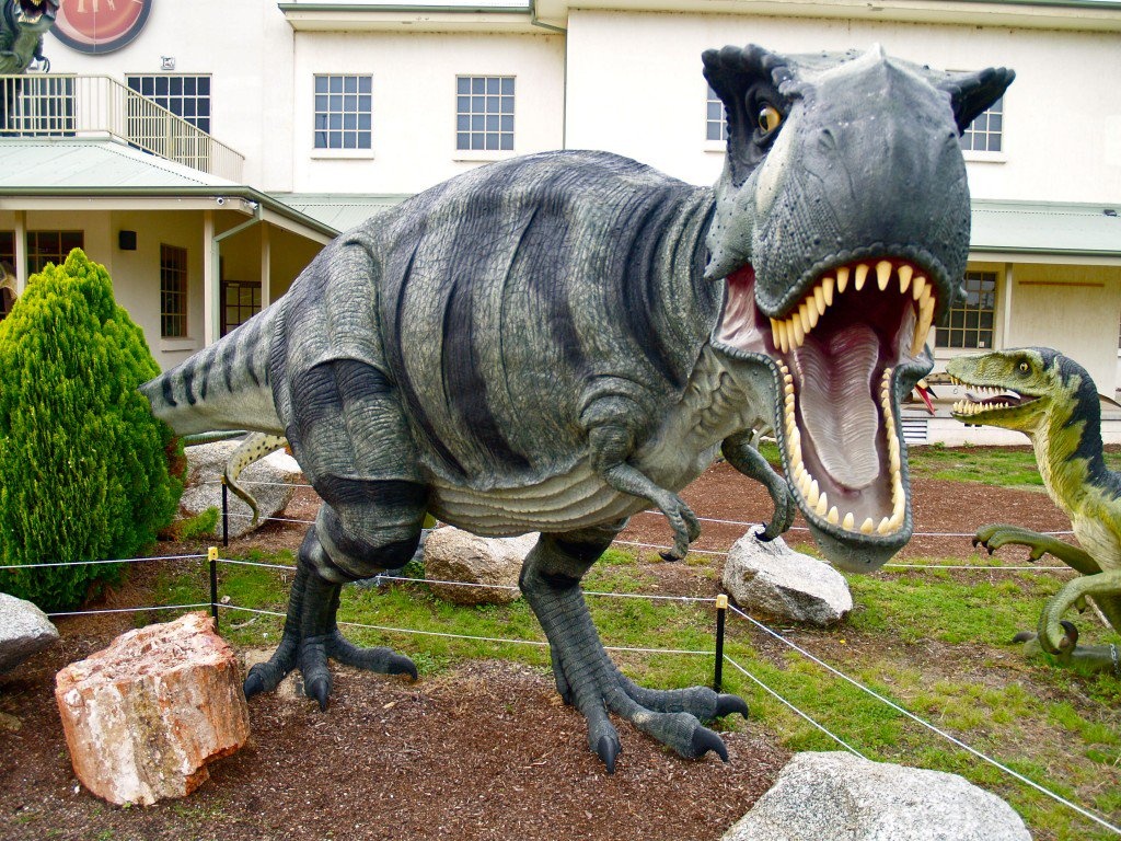 Australia: Khung long bi trom 'chat dau' trong bao tang hinh anh