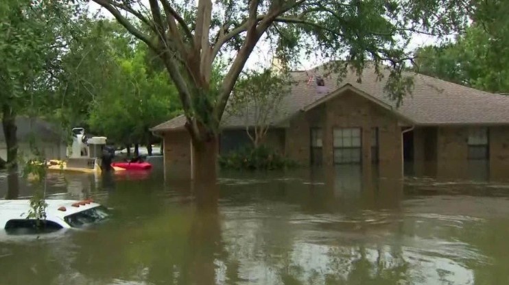 Bao Harvey: Dan My hot hoang phat hien ca sau boi trong vuon nha hinh anh