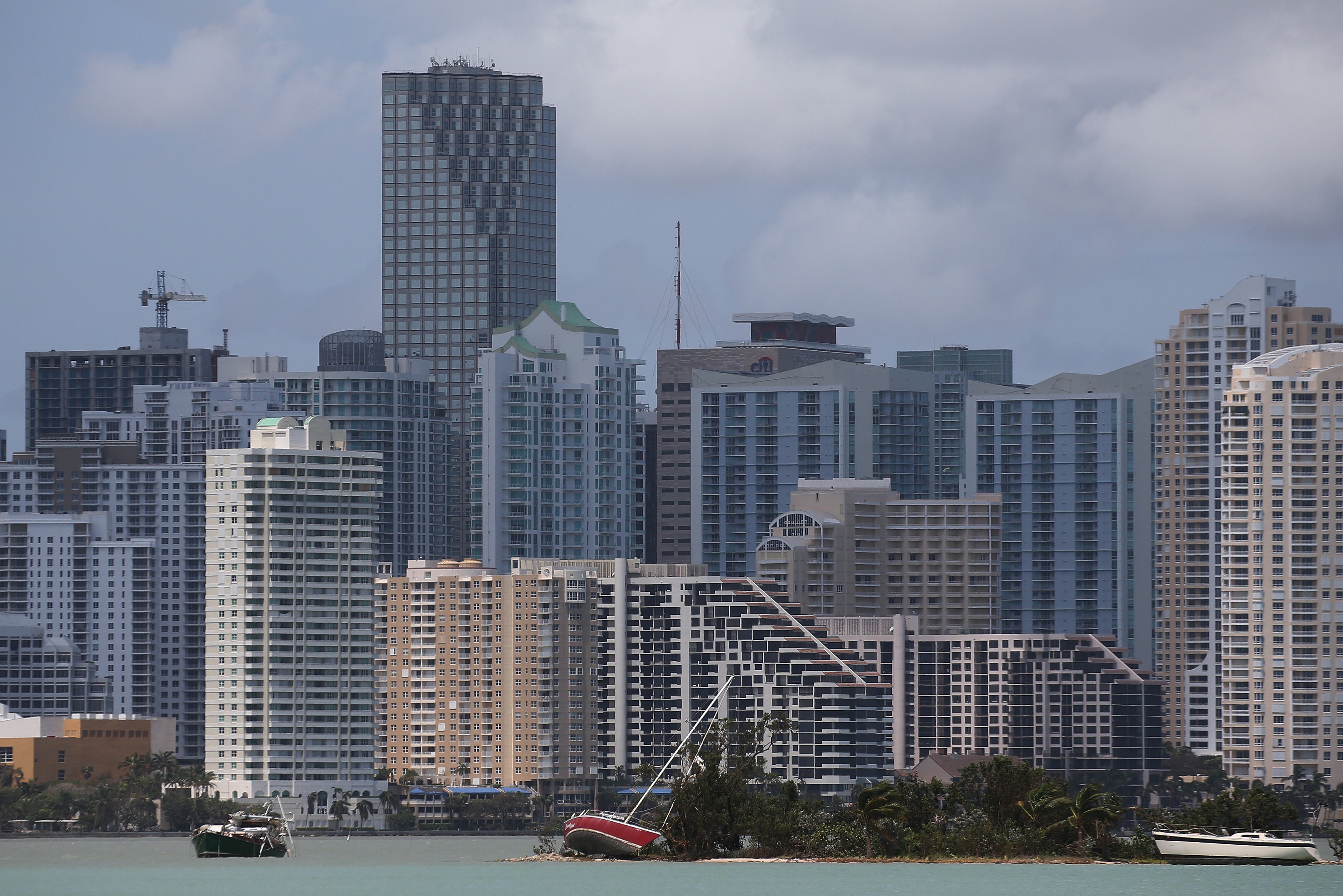 Florida hoang vang nhu tan the sau bao Irma anh 1