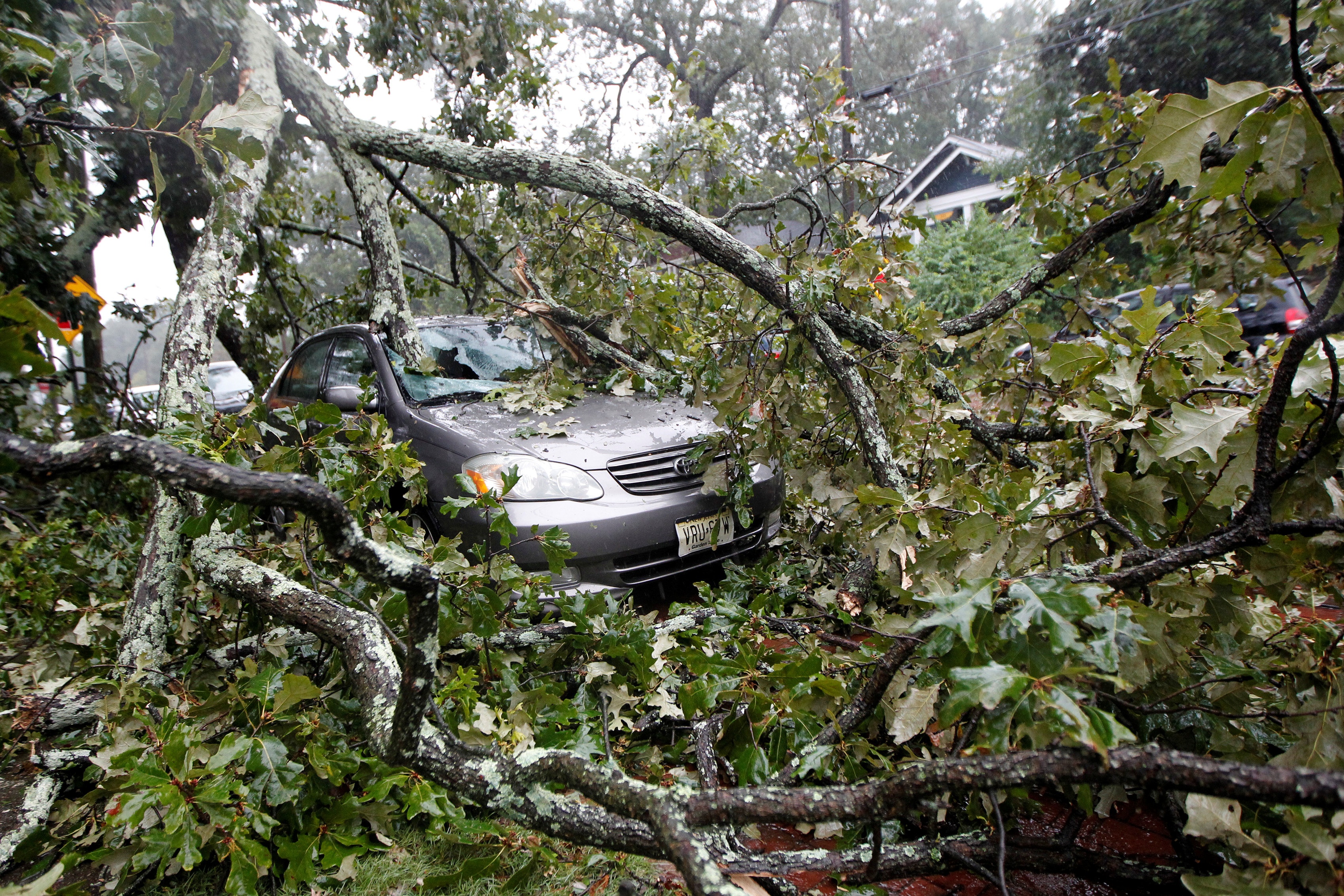 Florida tan hoang sau khi 'quai vat' Irma di qua hinh anh