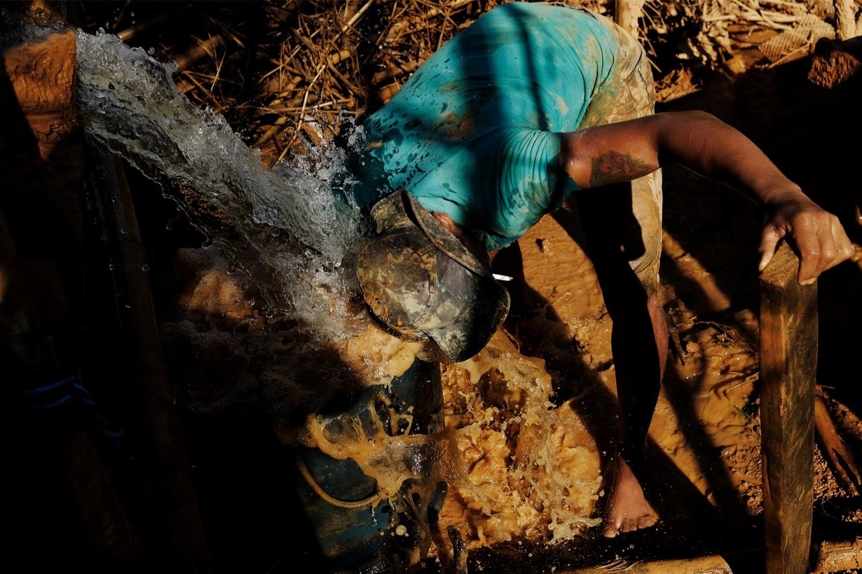 Dai cat tim vang trong rung vang trong Amazon anh 4