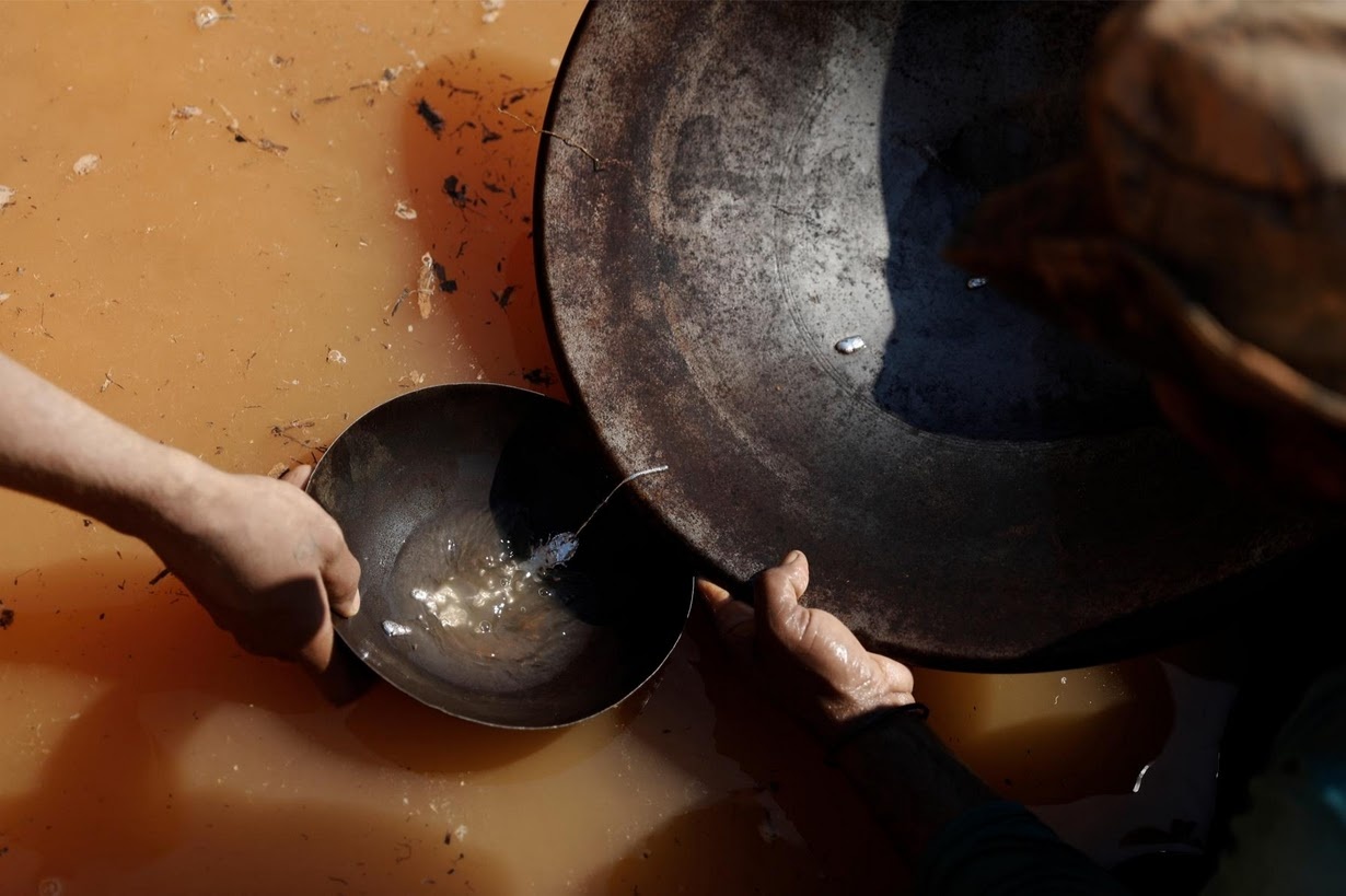 Dai cat tim vang trong rung vang trong Amazon anh 3