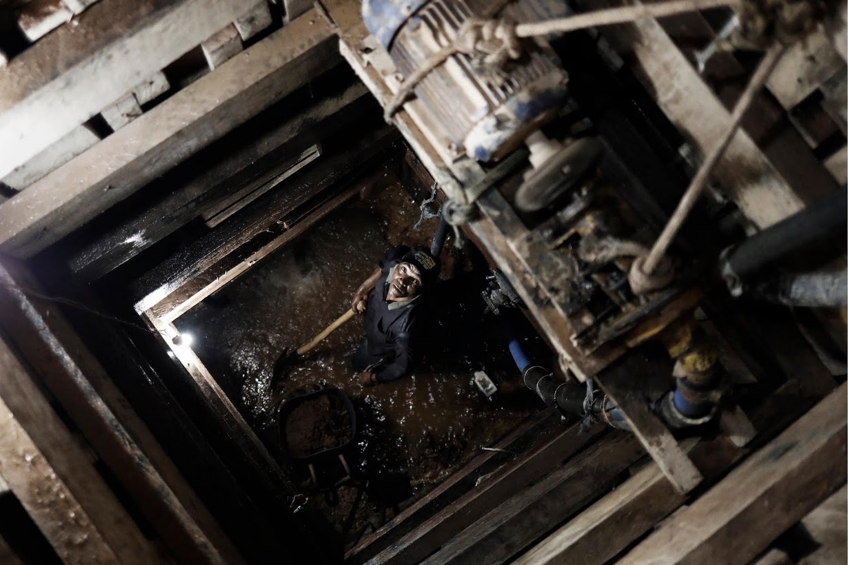 Dai cat tim vang trong rung vang trong Amazon anh 1