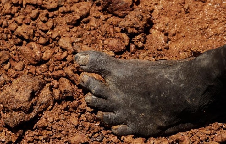 Lieu minh dai cat tim vang trong rung tham Amazon hinh anh