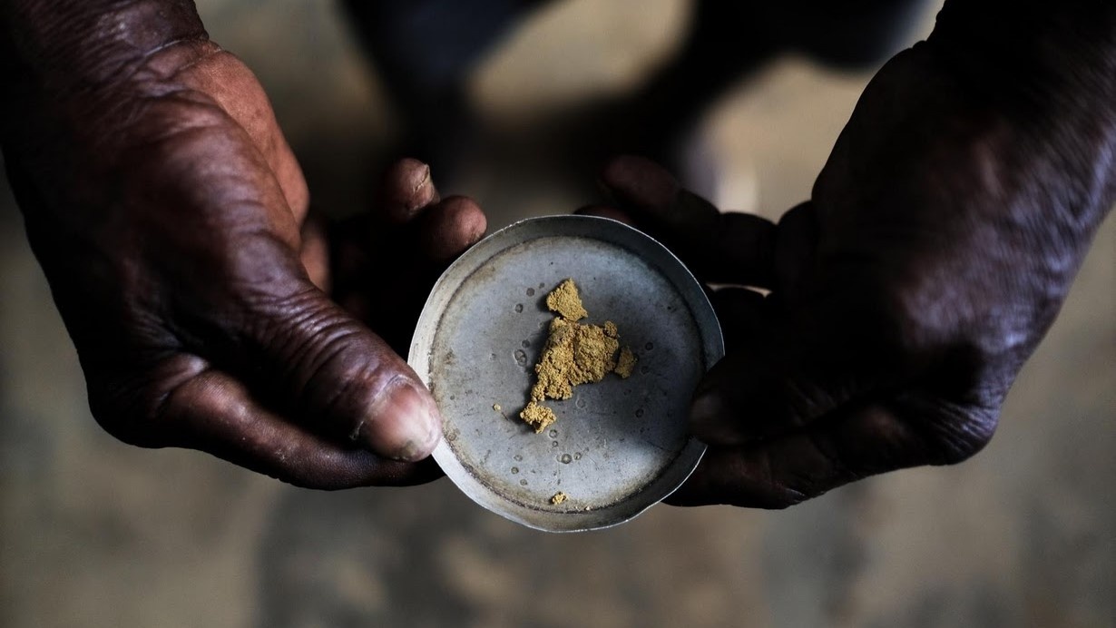 Qua trinh dai cat tim vang trong rung Amazon hinh anh