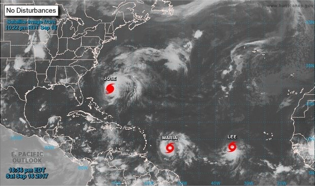 3 con bao cung luc can quet Dai Tay Duong anh 1