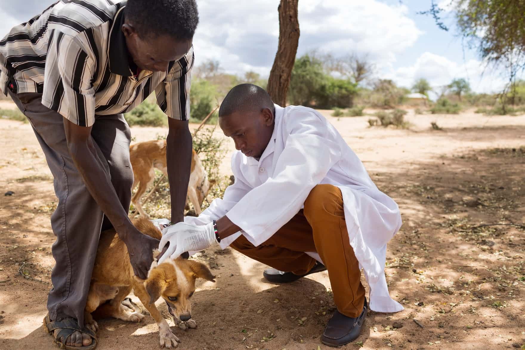 cuoc chien benh dai o Kenya anh 3