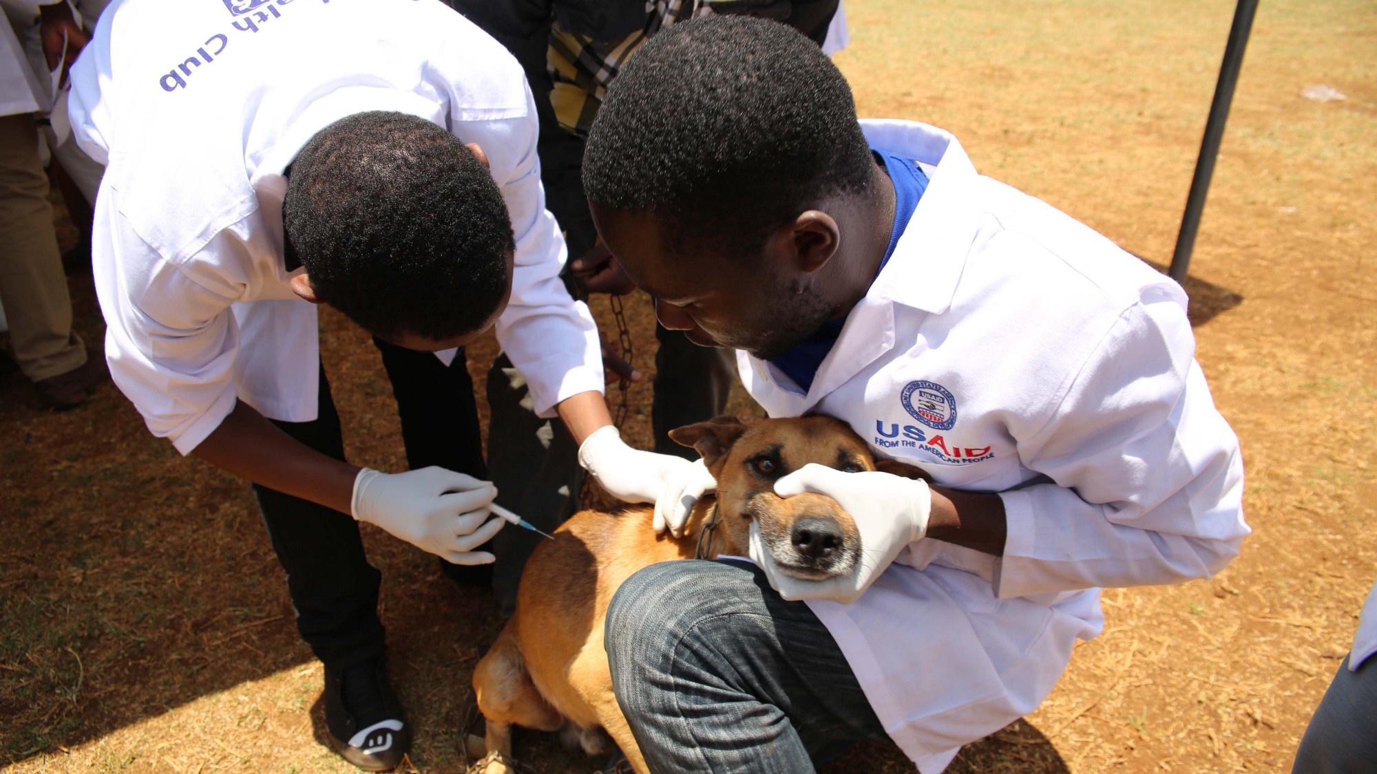 cuoc chien benh dai o Kenya anh 7