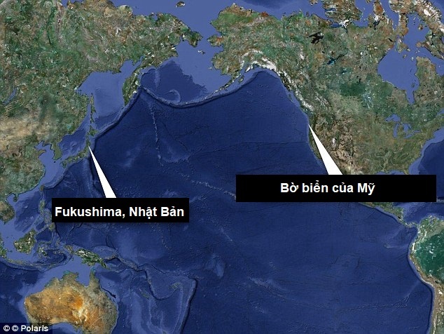 Song than dem sinh vat tu Nhat Ban toi My anh 2