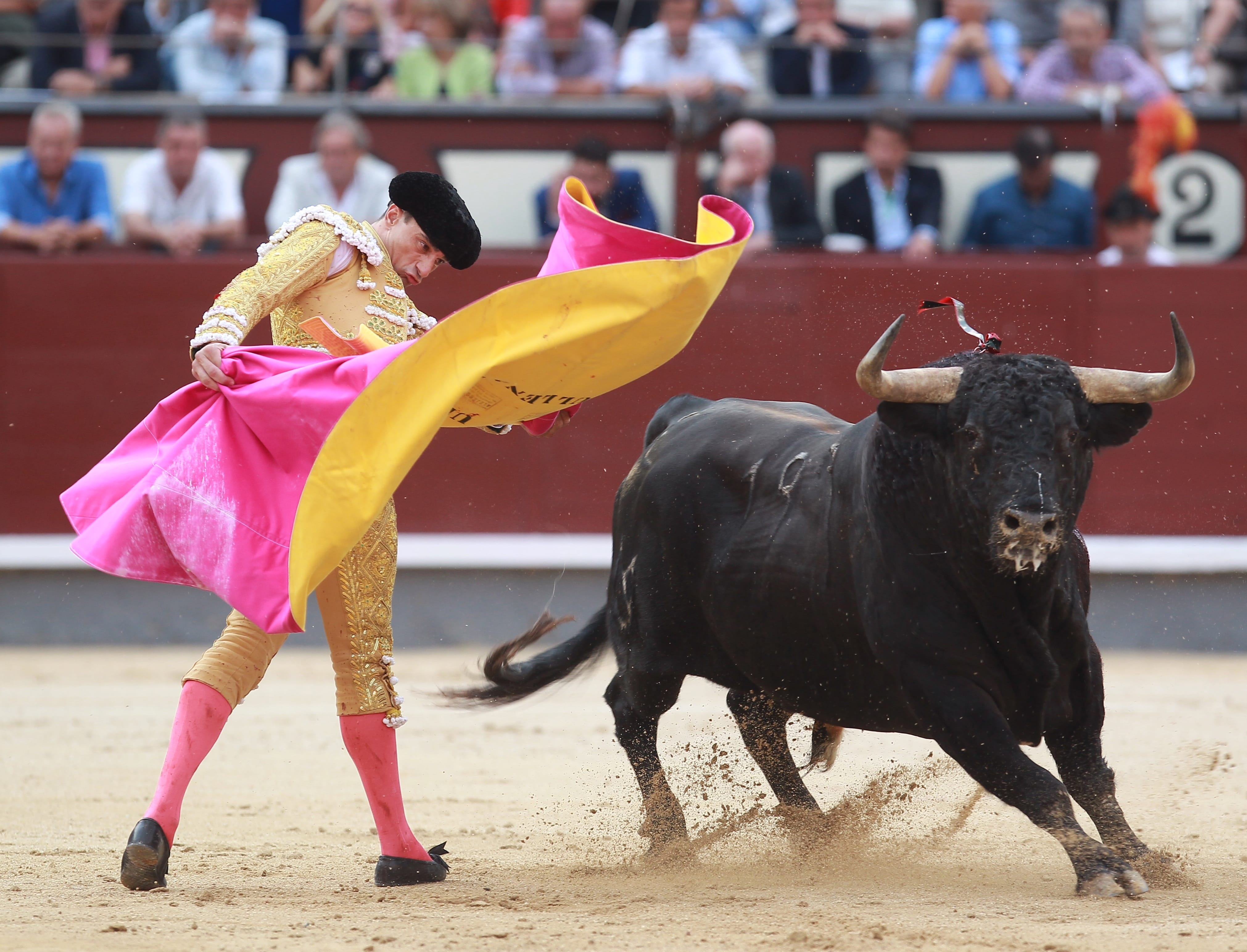 Dau si Tay Ban Nha bi bo tot huc trong le hoi truyen thong hinh anh