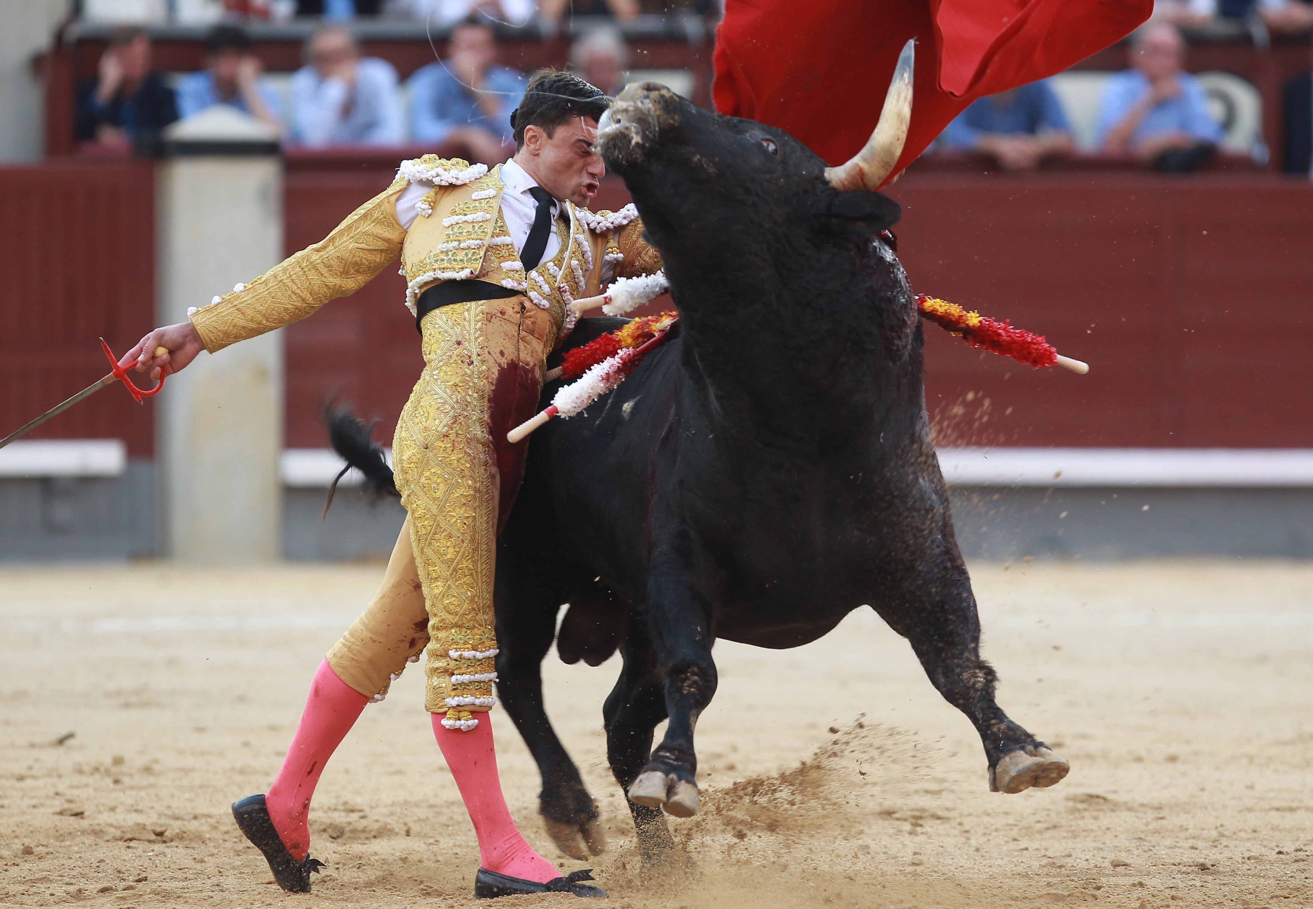 dau si bi bo tot tan cong anh 4