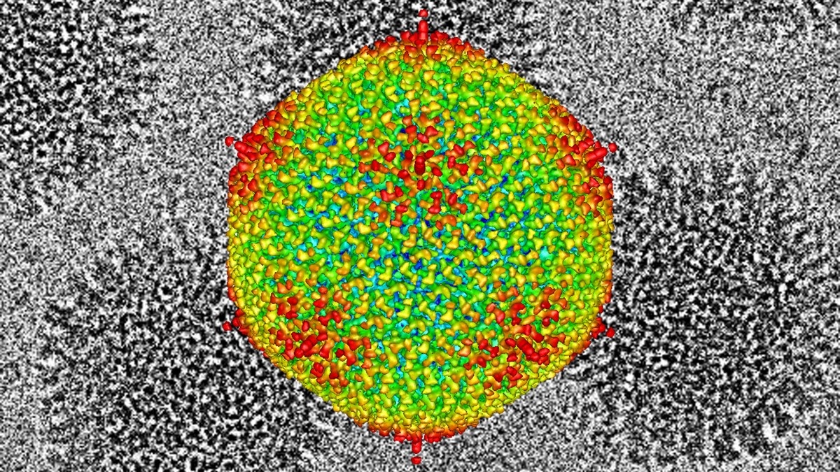 Cong dung cua kinh hien vi electron nhiet do thap hinh anh