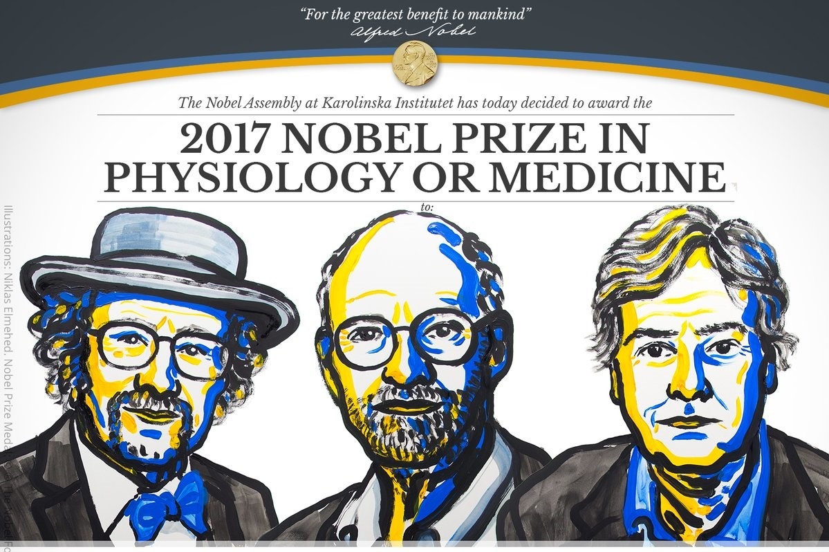 kham pha trong mua Nobel 2017 anh 2