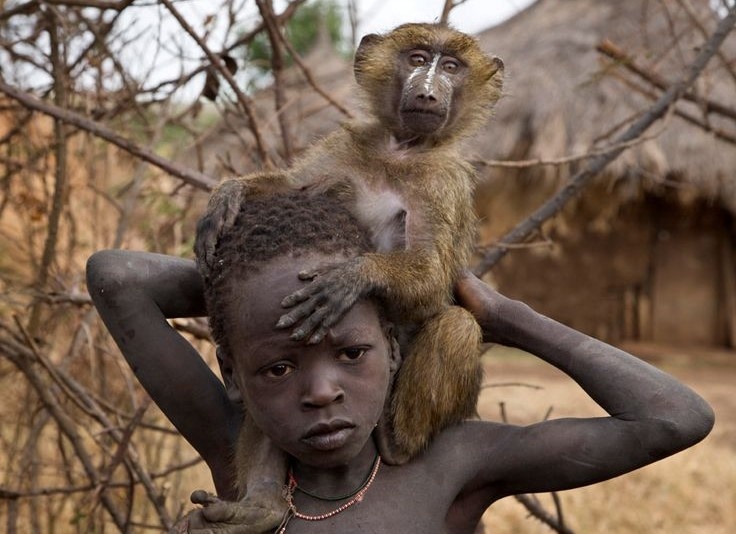 Bao tang Trung Quoc go tranh so sanh nguoi da mau voi thu vat hinh anh