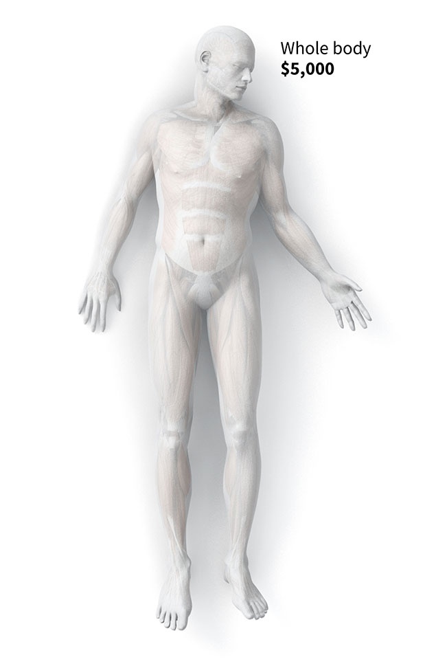 hanh trinh cua xac chet o My anh 3