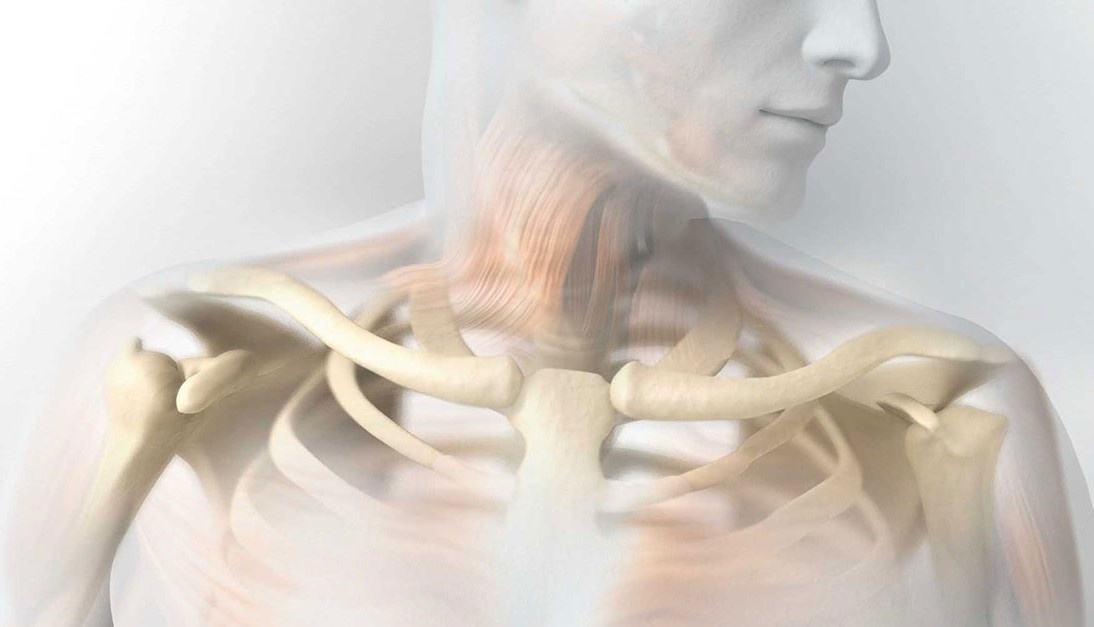 Hanh trinh bi an cua nhung xac chet tai My hinh anh