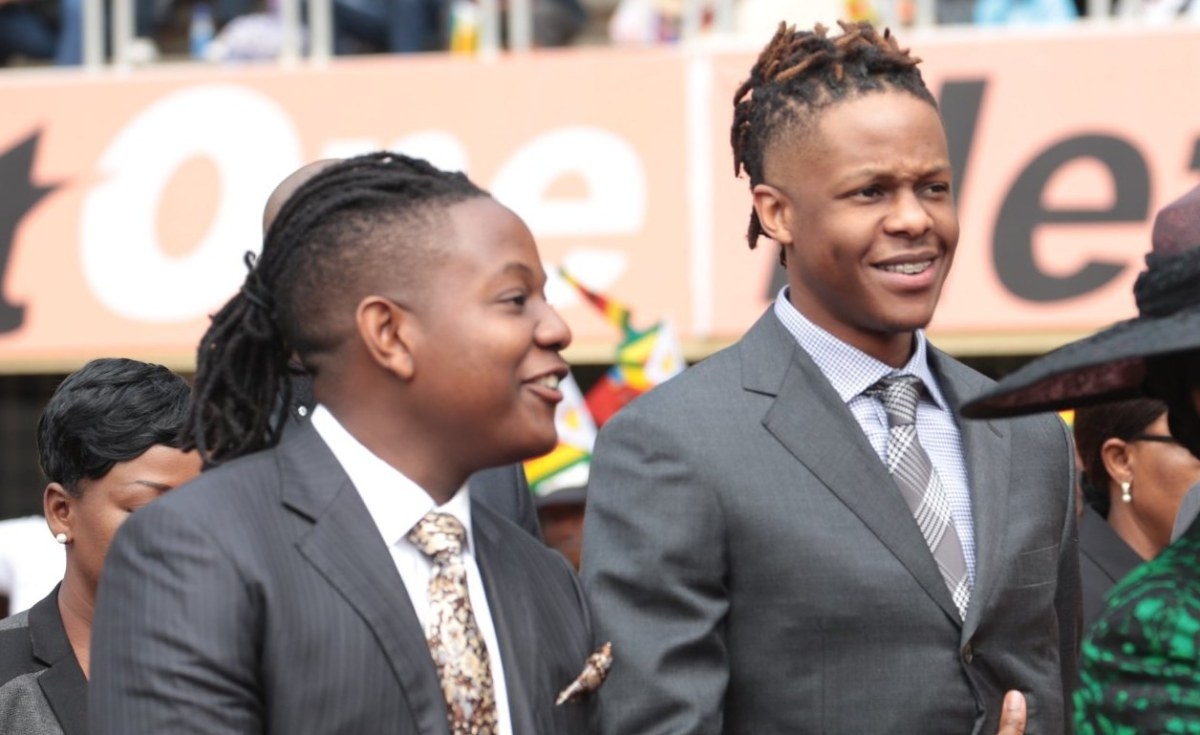 tai san ty do cua ong Mugabe anh 2