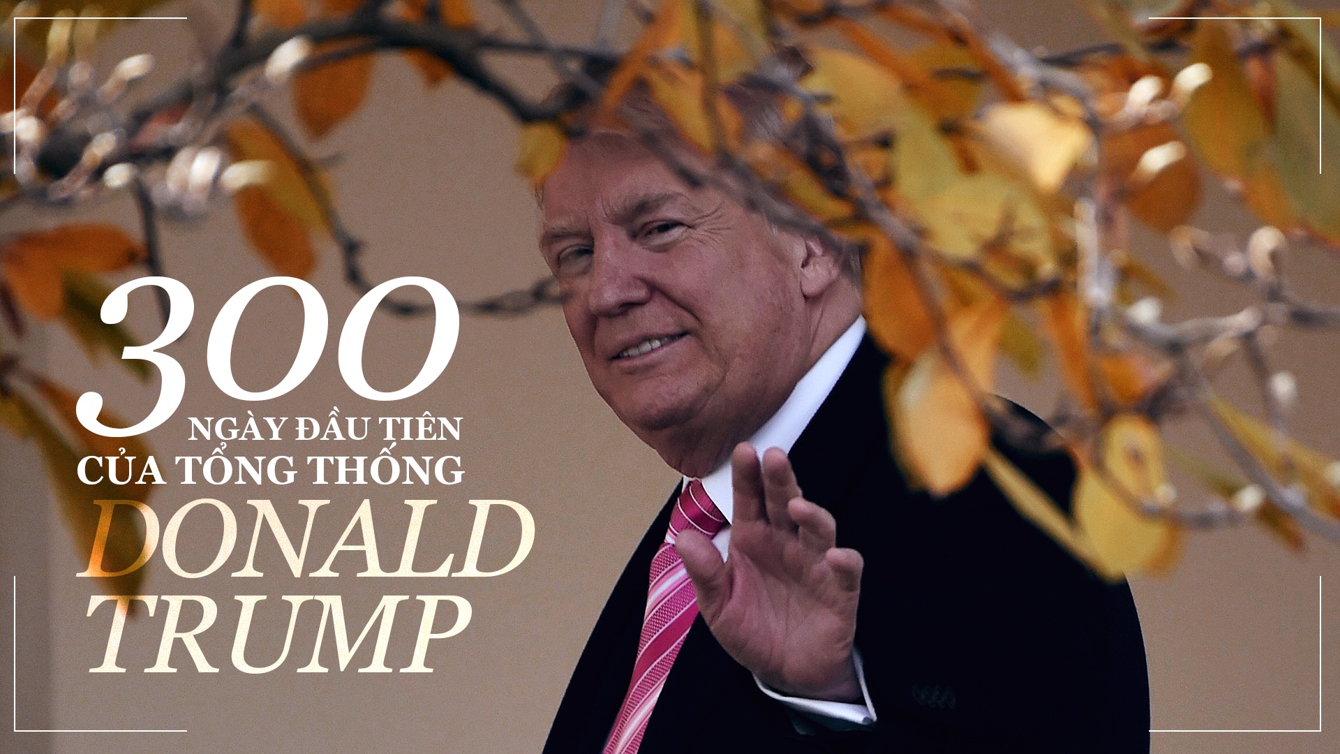 nam dau tien cua tong thong Trump anh 1