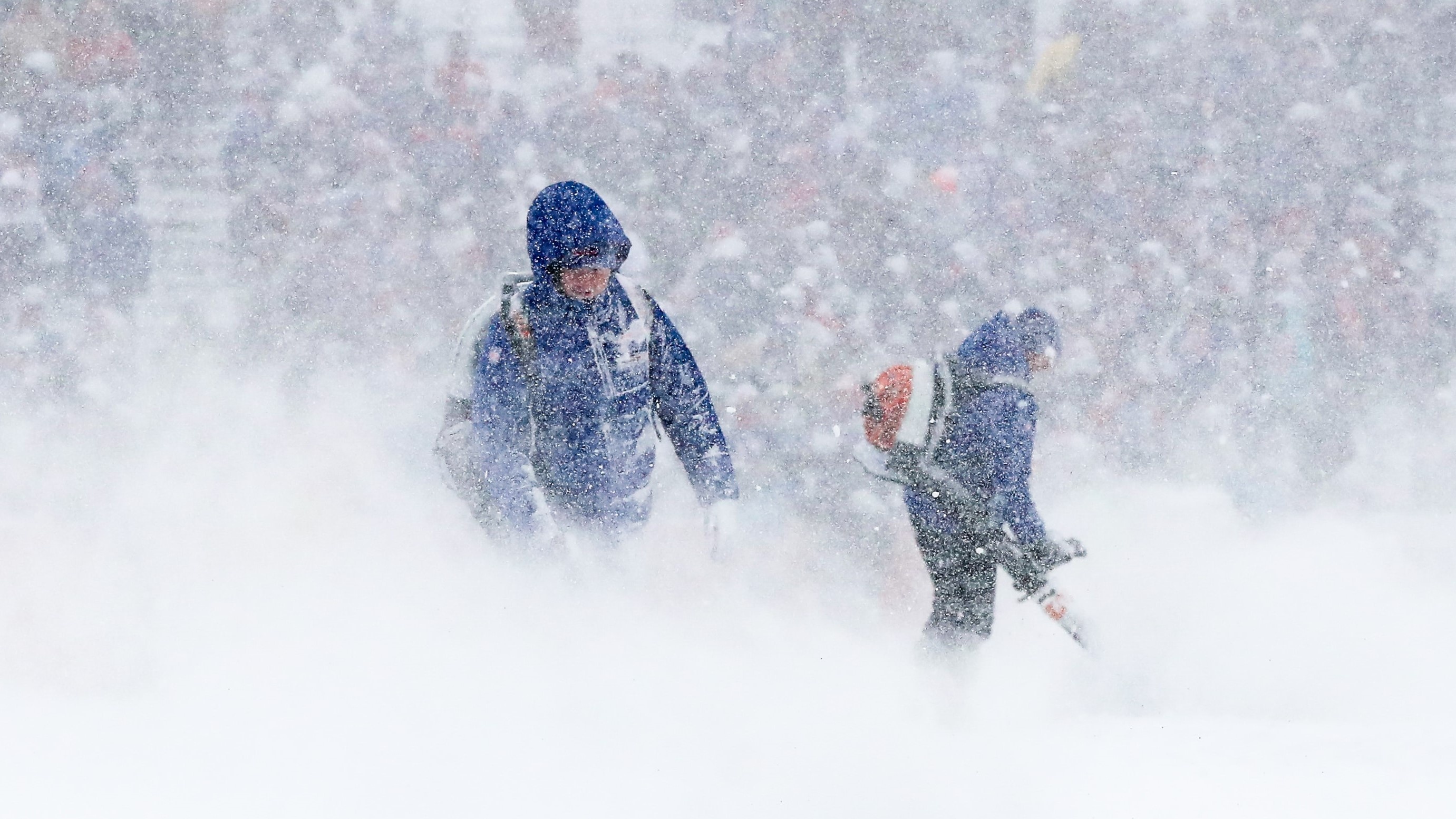 Bo Dong nuoc My trang xoa trong tuyet hinh anh