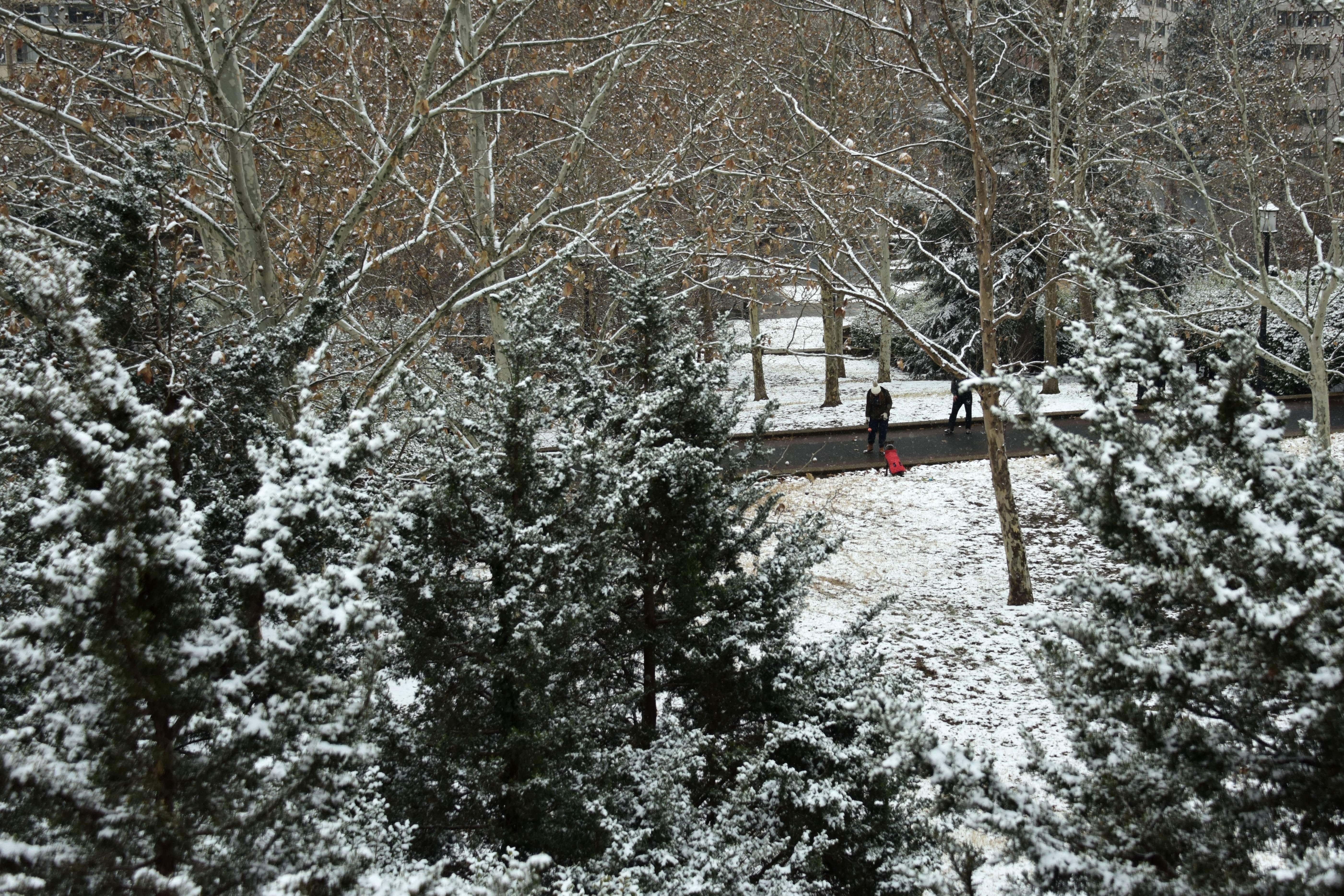 Bờ Đông nước Mỹ trắng xóa trong tuyết ảnh 4 Bo Dong nuoc My trang xoa trong tuyet anh 4