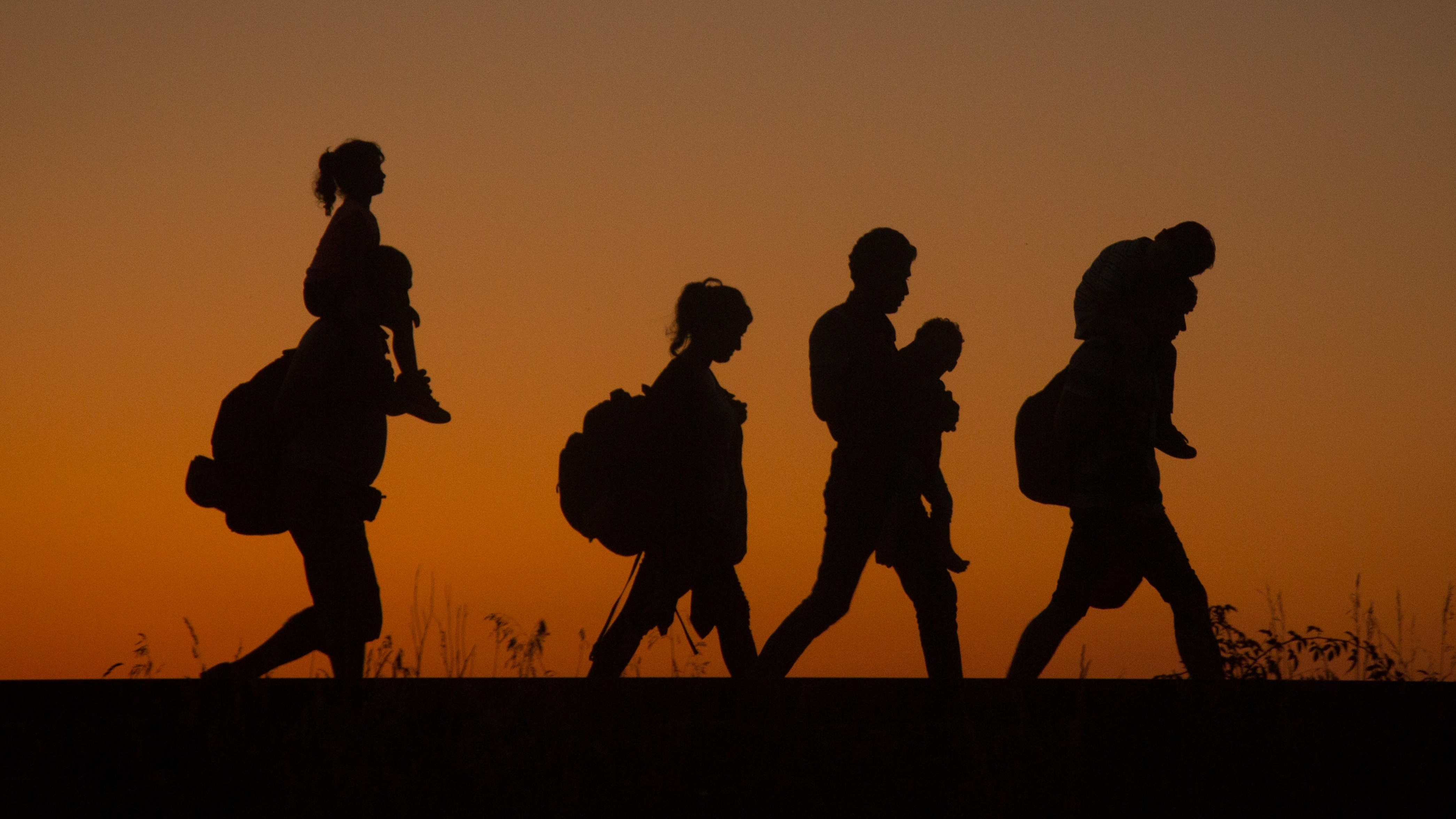 Hashtag tuan qua: Nhung canh chim di tim nha hinh anh