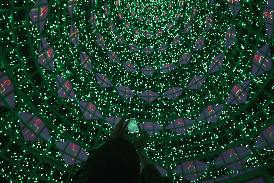 chay rung o California anh 8