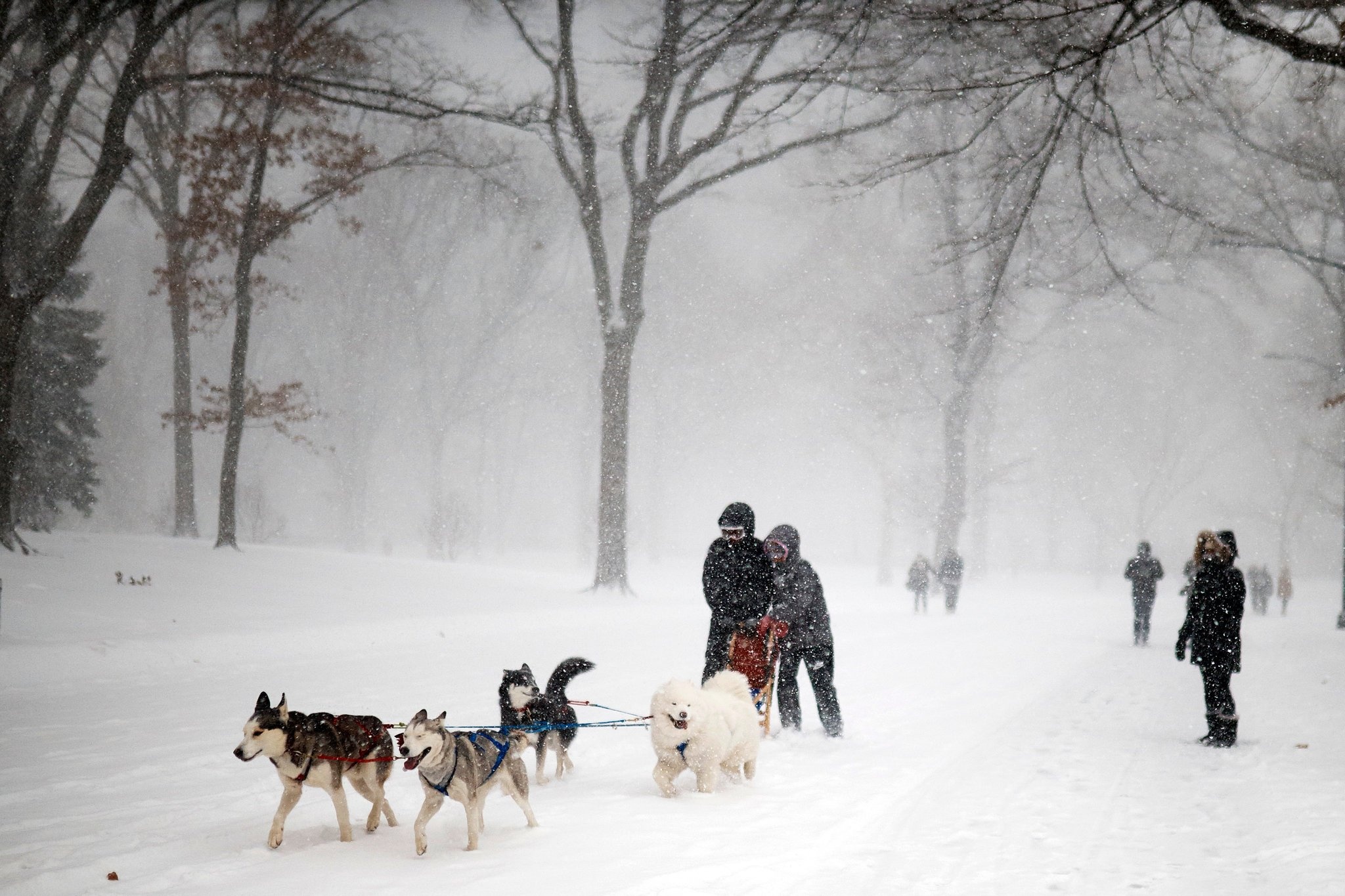 New York lanh ky luc anh 2