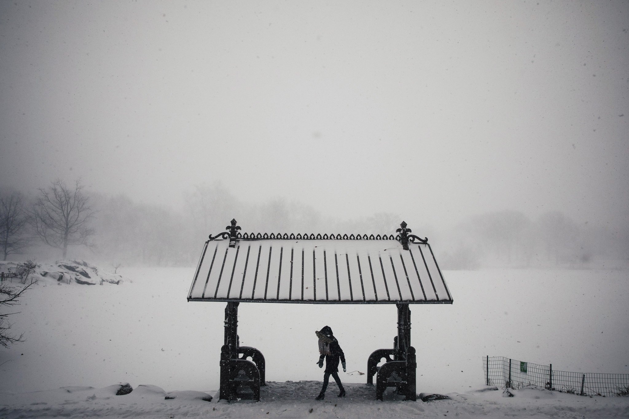 New York lanh ky luc anh 7