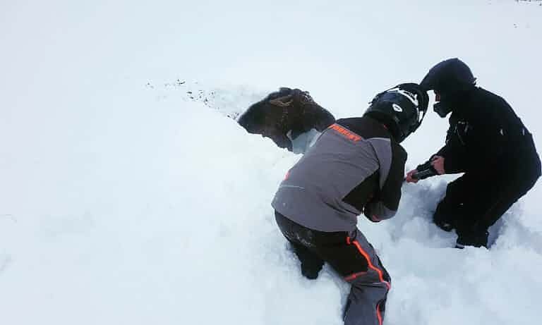 lanh ky luc Canada anh 1