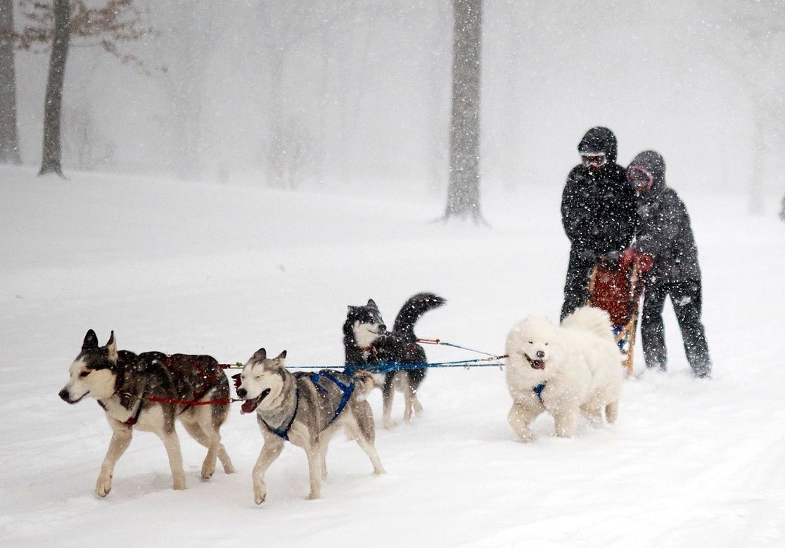 Nguoi New York trong mua dong lanh gia ky luc hinh anh