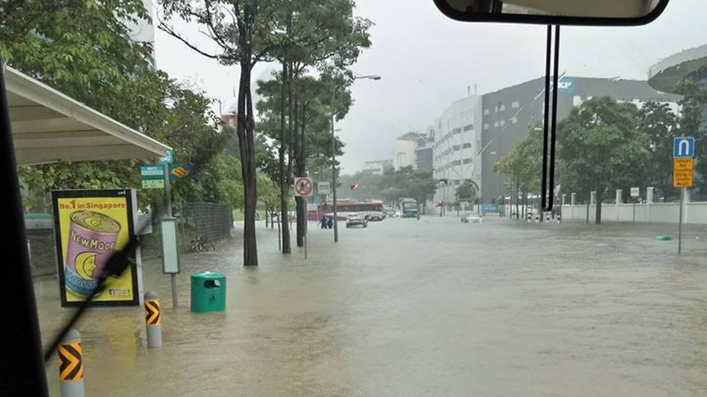 ngap lut Singapore anh 5