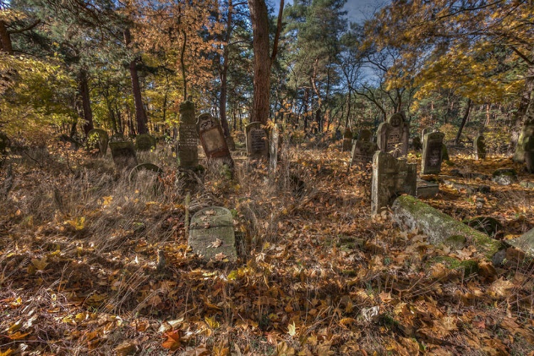 tìm thấy hộp sọ ở Mexico ảnh 1 tim thay hop so o Mexico anh 1