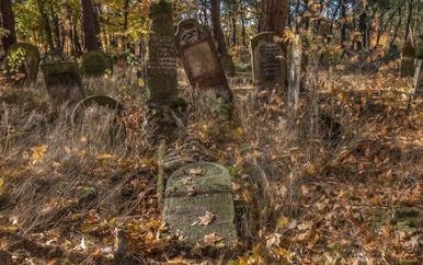 Mexico: Tim thay 33 hop so duoc chon tap the hinh anh