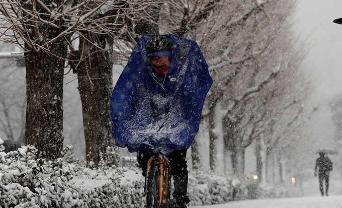 Tokyo hon loan do bao tuyet hinh anh