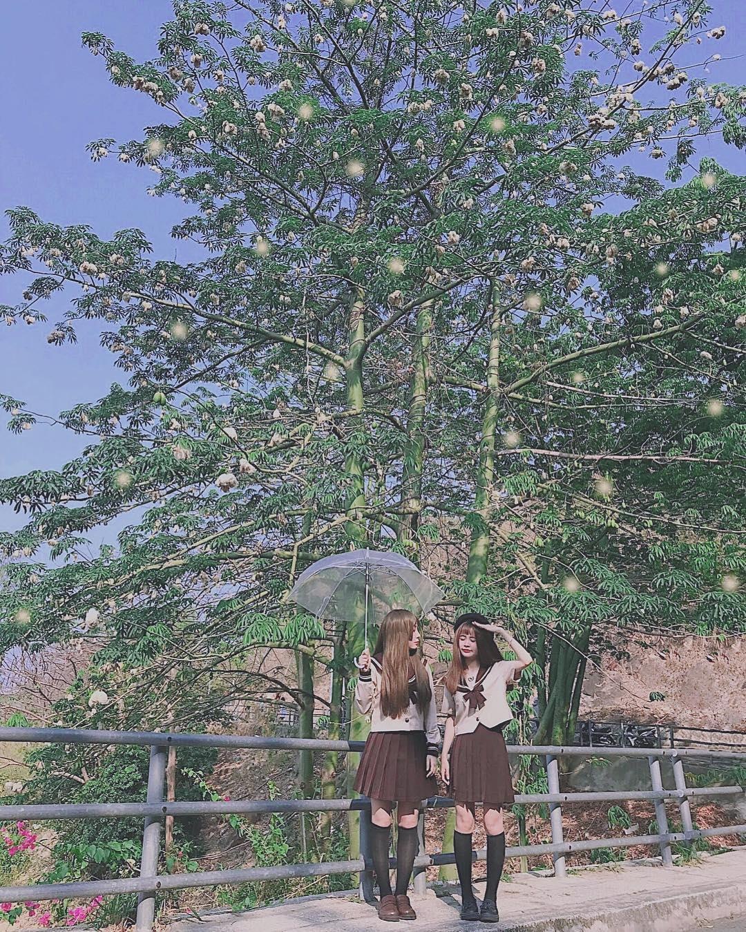 bien tranh nang anh 3