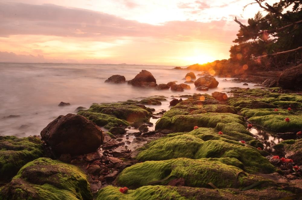 bien tranh nang anh 14