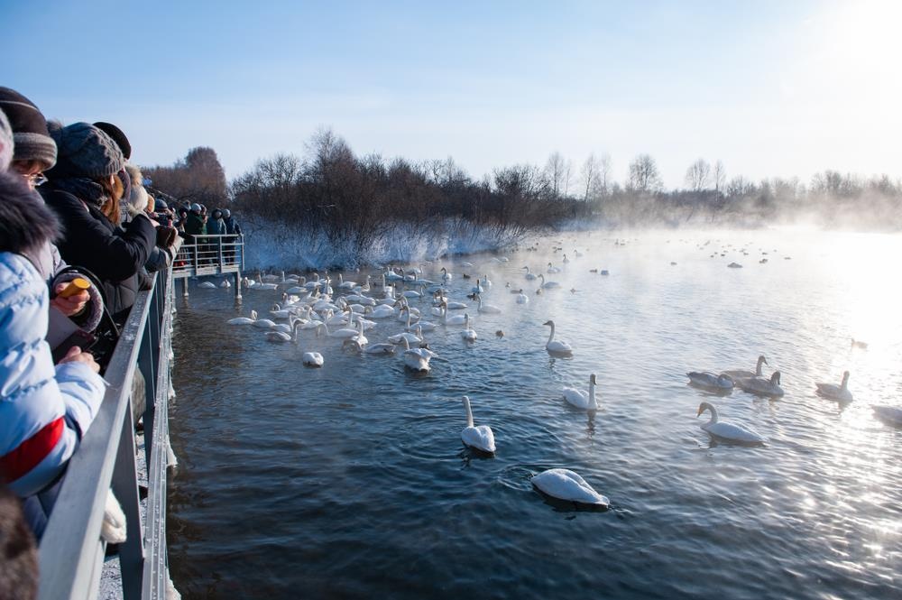 ve dep thien nga anh 2