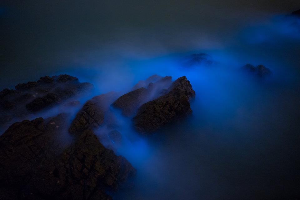 noi phat sang tu nhien anh 3