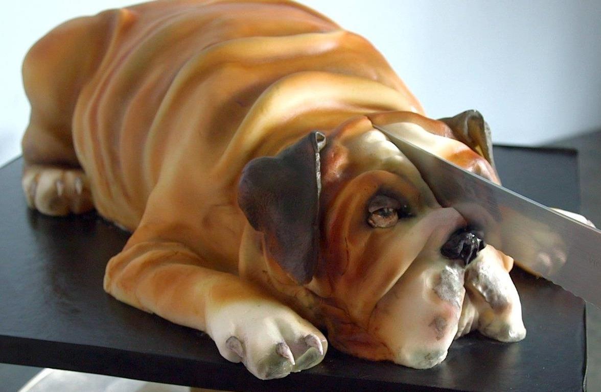 Lam the nao de tao ra chiec banh kem giong cho Bull nhu that hinh anh