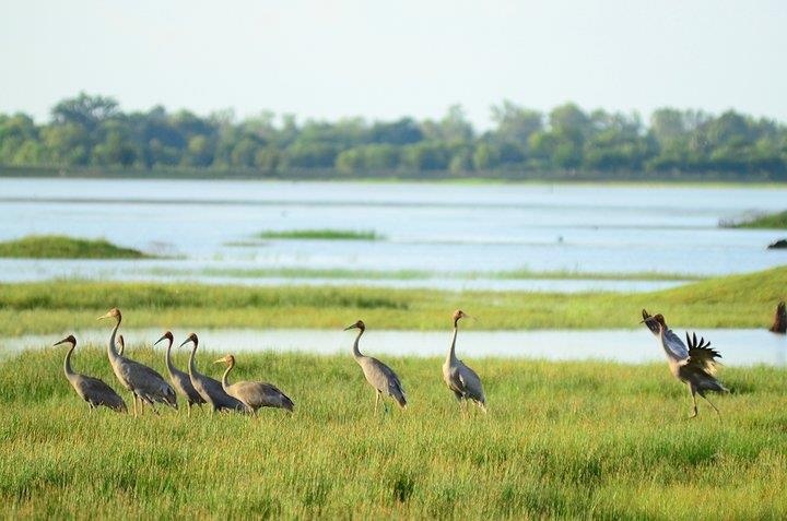 co vu king's cup anh 10