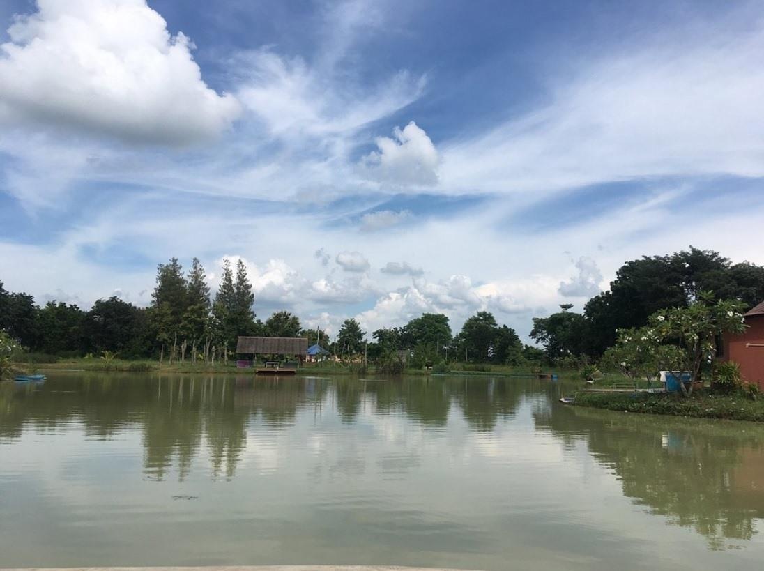 co vu king's cup anh 7