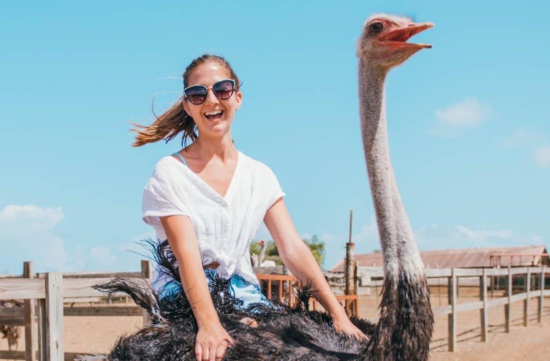 Cuoi da dieu o Curacao gia 56 USD khien du khach thich thu hinh anh